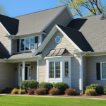 Roof Cleaning